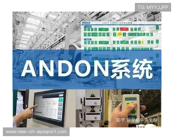 体育赛事影响力评估模型被广泛采用