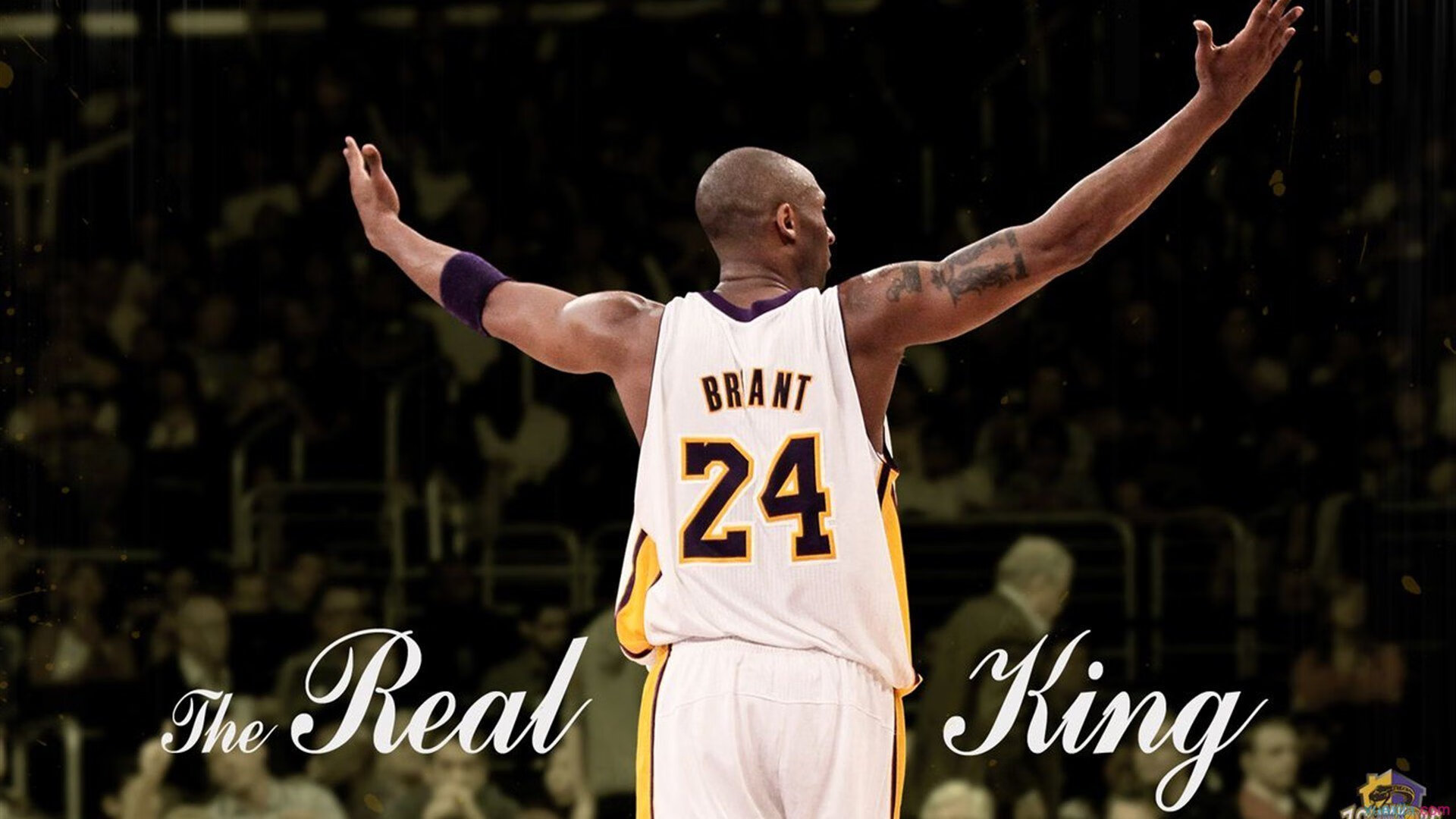 今日NBA赛事专家推荐，今日nba赛事专家推荐直播